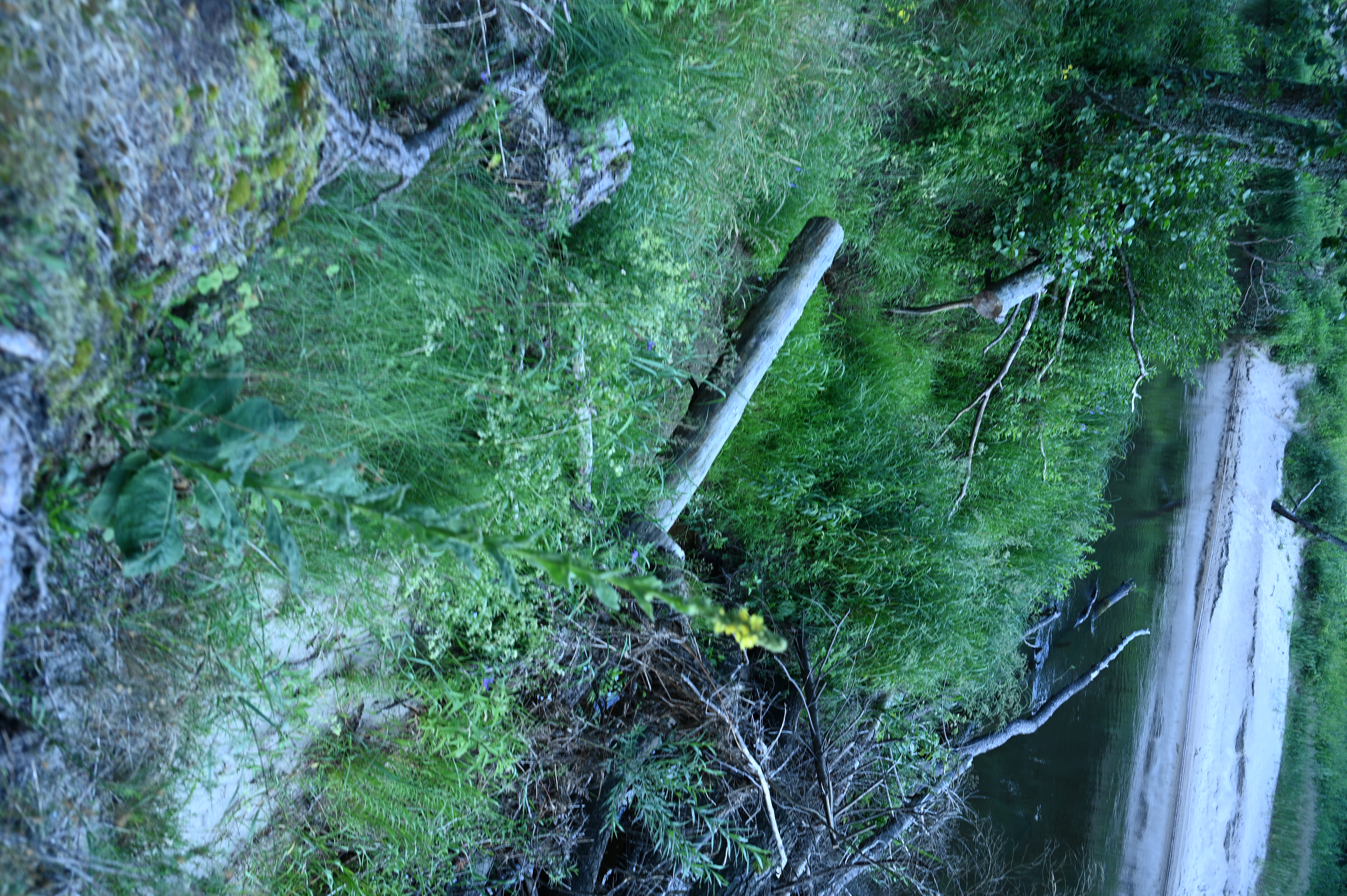 2025/07/09-14 - trip/DSC_0265.JPG